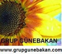 Gunebakan